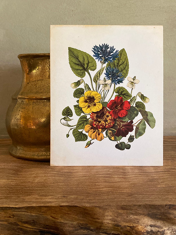 Botanical Cards