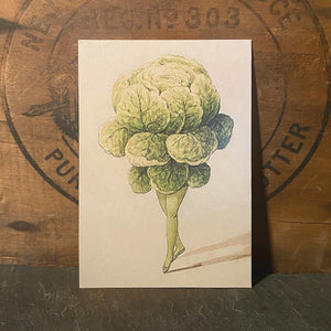 Butter Lettuce Ballet