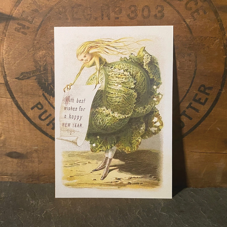 Christmas Cabbage