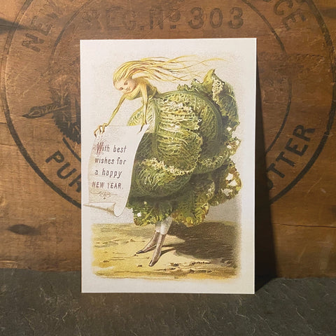 Christmas Cabbage