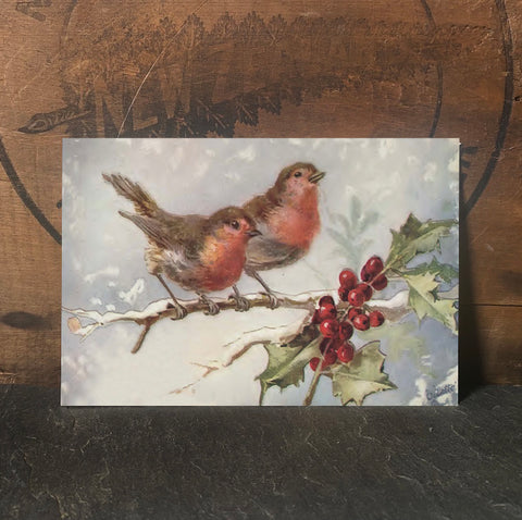 Christmas Finches