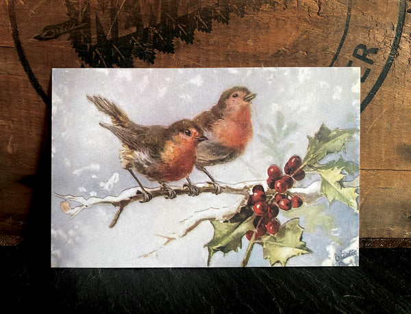 Christmas Finches