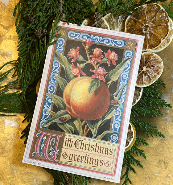 Peachy Christmas
