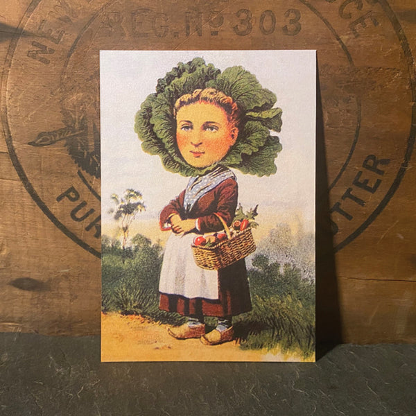 Dutch Cabbage Head
