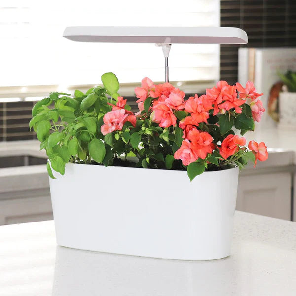 SunBlaster Nano Growlight Garden