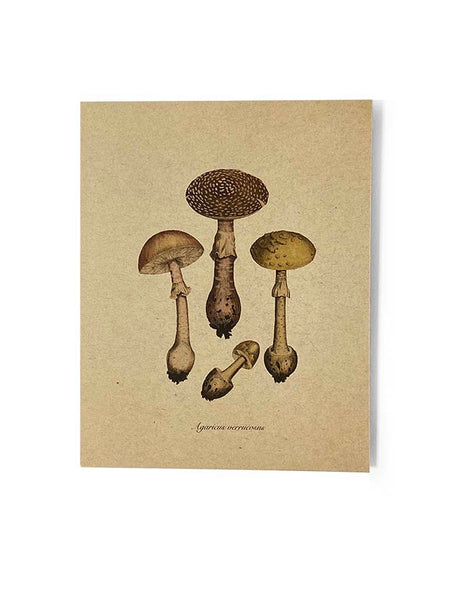 Amanita Mushroom Note Card (frame not included)