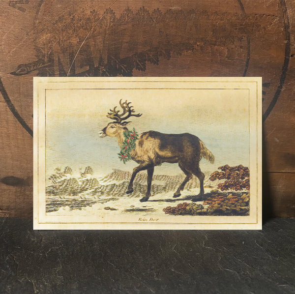 Festive Reindeer