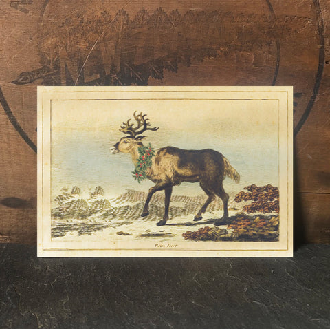 Festive Reindeer