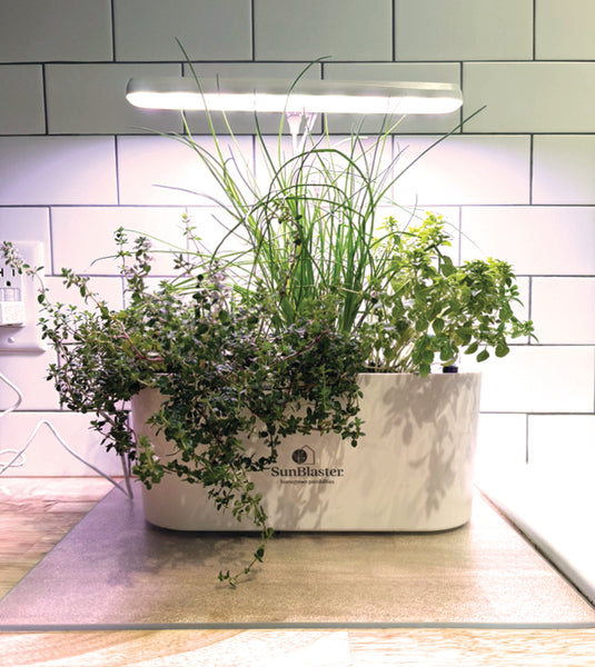 SunBlaster Nano Growlight Garden
