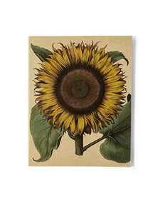 Sunflower Card