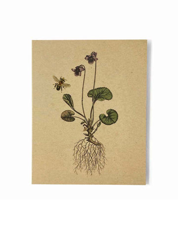 Wild Violet Card