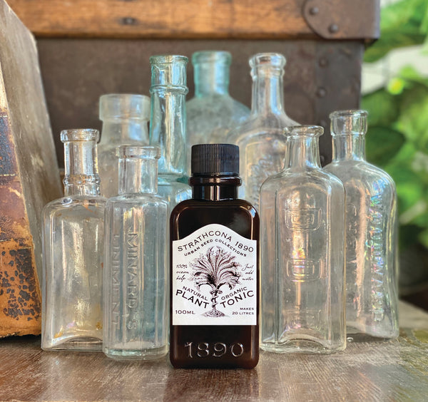 Plant Tonic 100ml