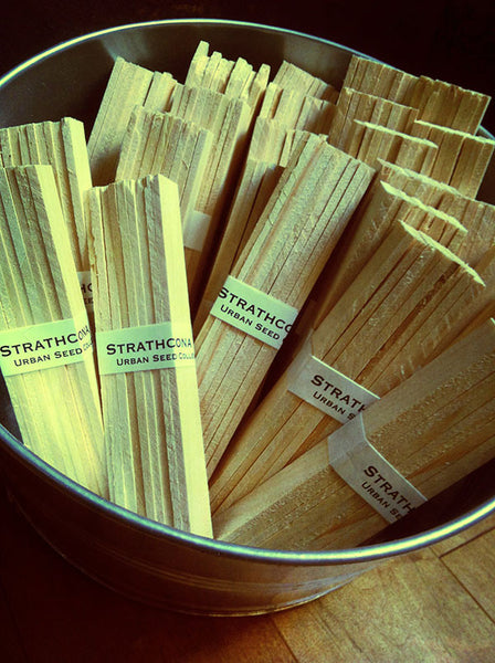 Zombie Apocalypse Survival Seeds