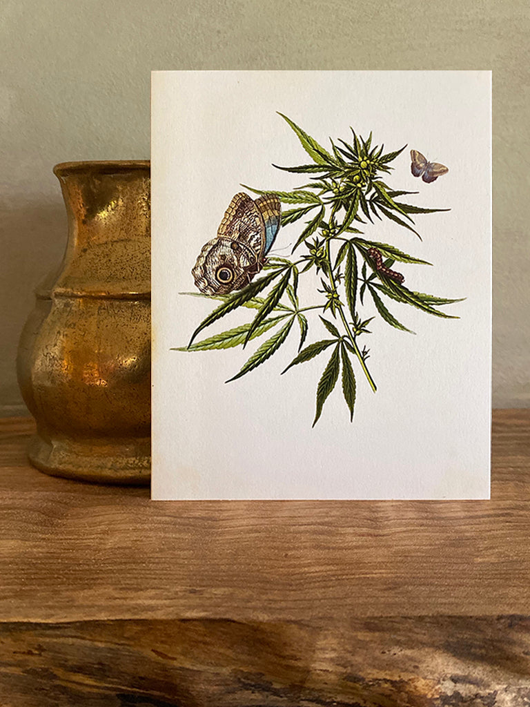 Cannabis Note Card