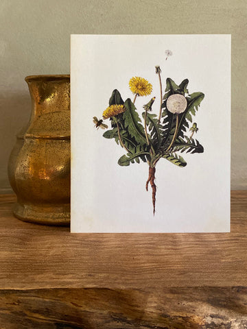 Dandelion Note Card