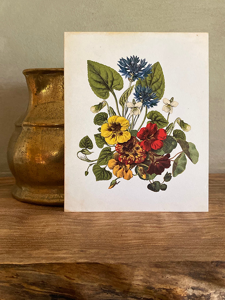 Edible Flowers Note Card
