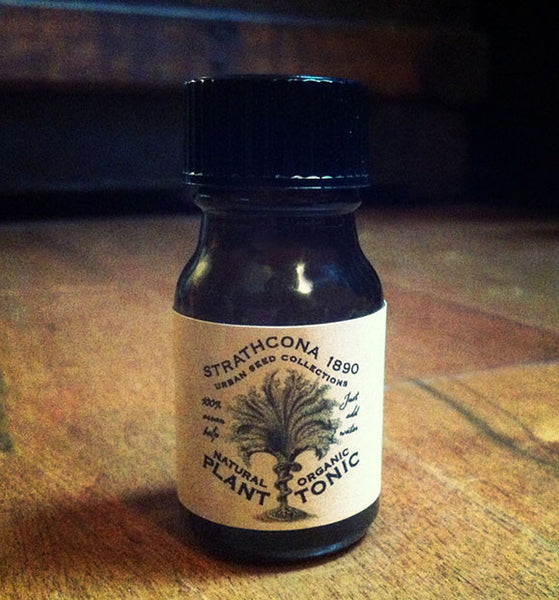 Zombie Apocalypse Survival Seeds