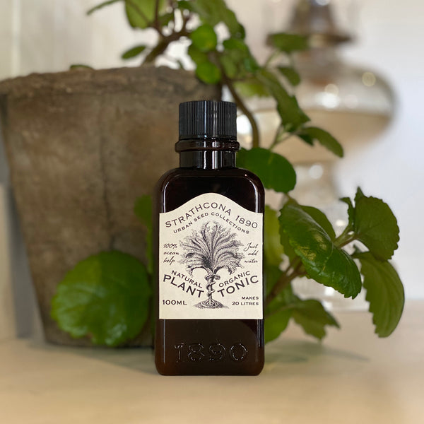 Plant Tonic 100ml