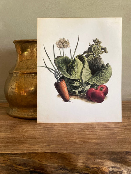 Salad Note Card