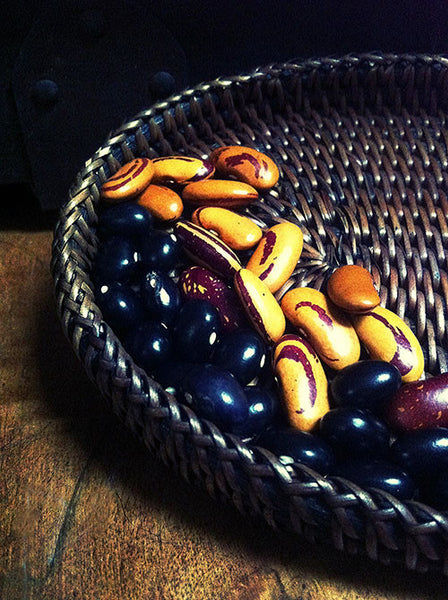 Zombie Apocalypse Survival Seeds
